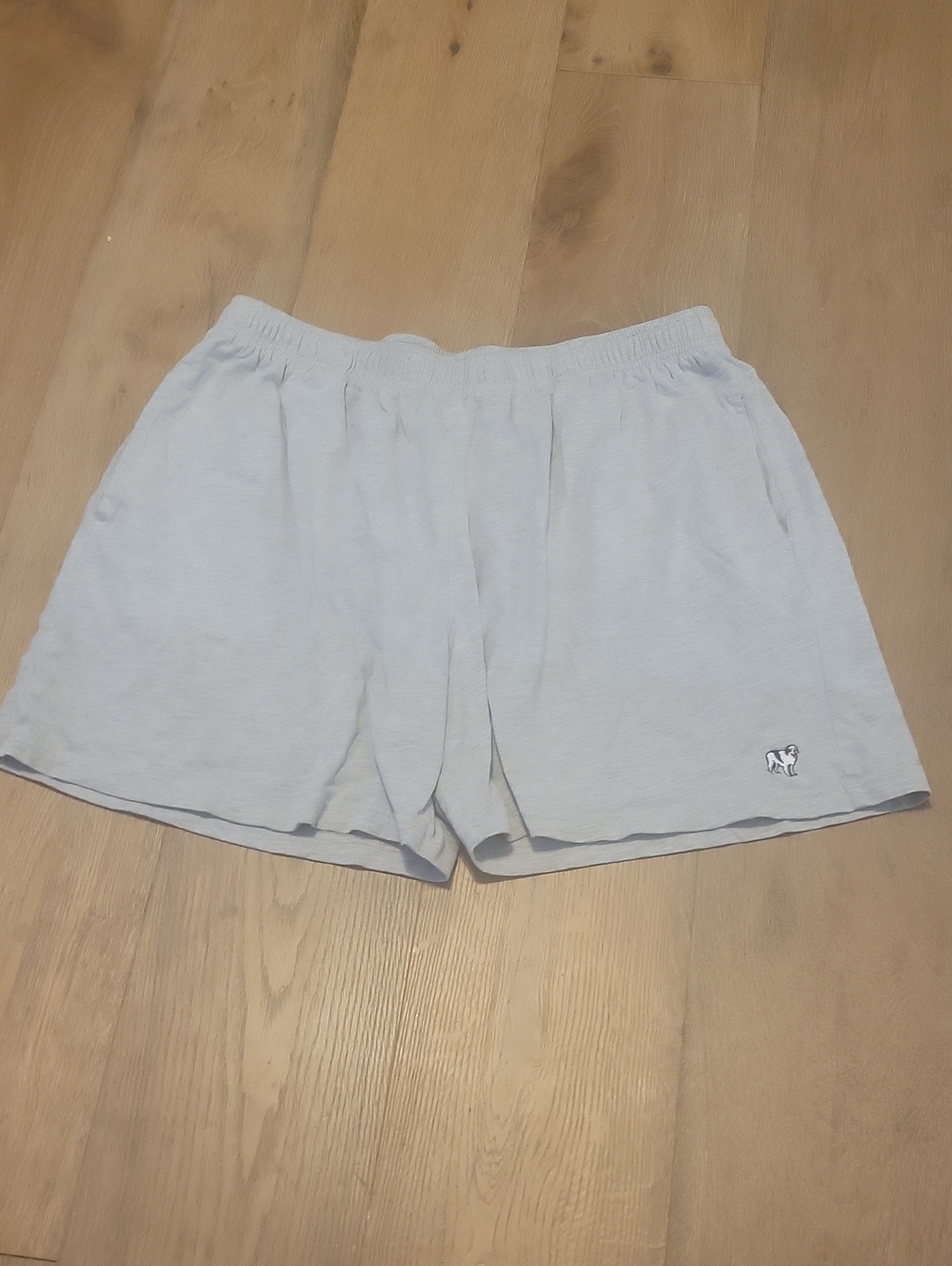 Big Dogs Light Gray Men's Athletic Shorts 1x